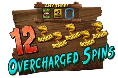 Overcharged Spins